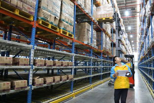 跨境电商浪潮下货物进出口物流的变革与挑战