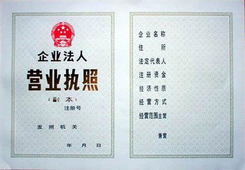 上海市公司注册类型详解与免费咨询攻略 技术进出口企业必读